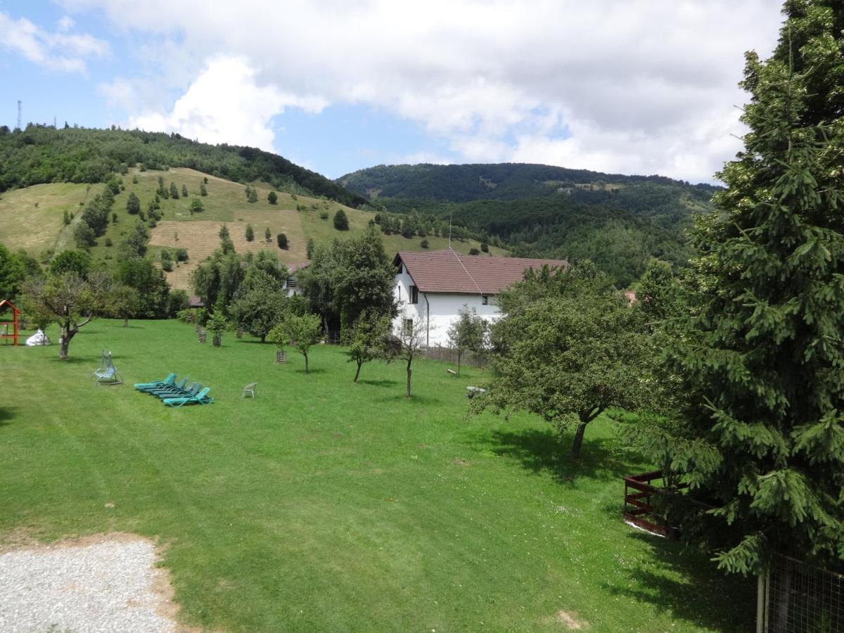 La Remus Villa Moieciu de Jos Exterior photo